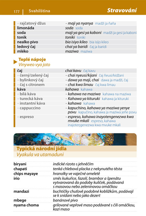 Afrika - jazykový průvodce
