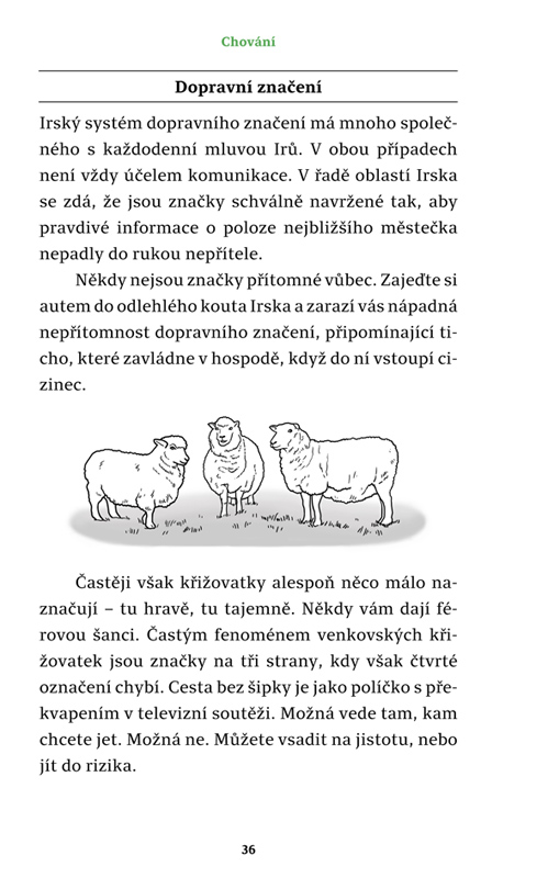 Jací jsou? - Irové