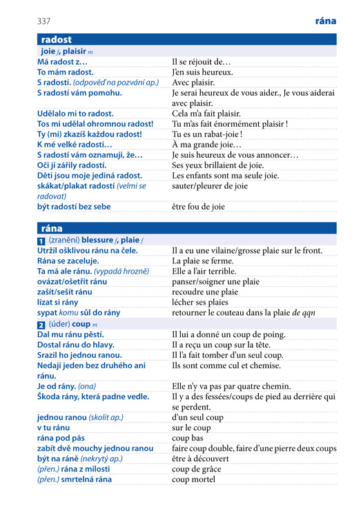 Česko-francouzský mluvník