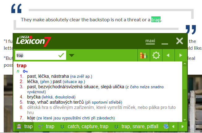 Lexicon 7 Anglický slovník Platinum