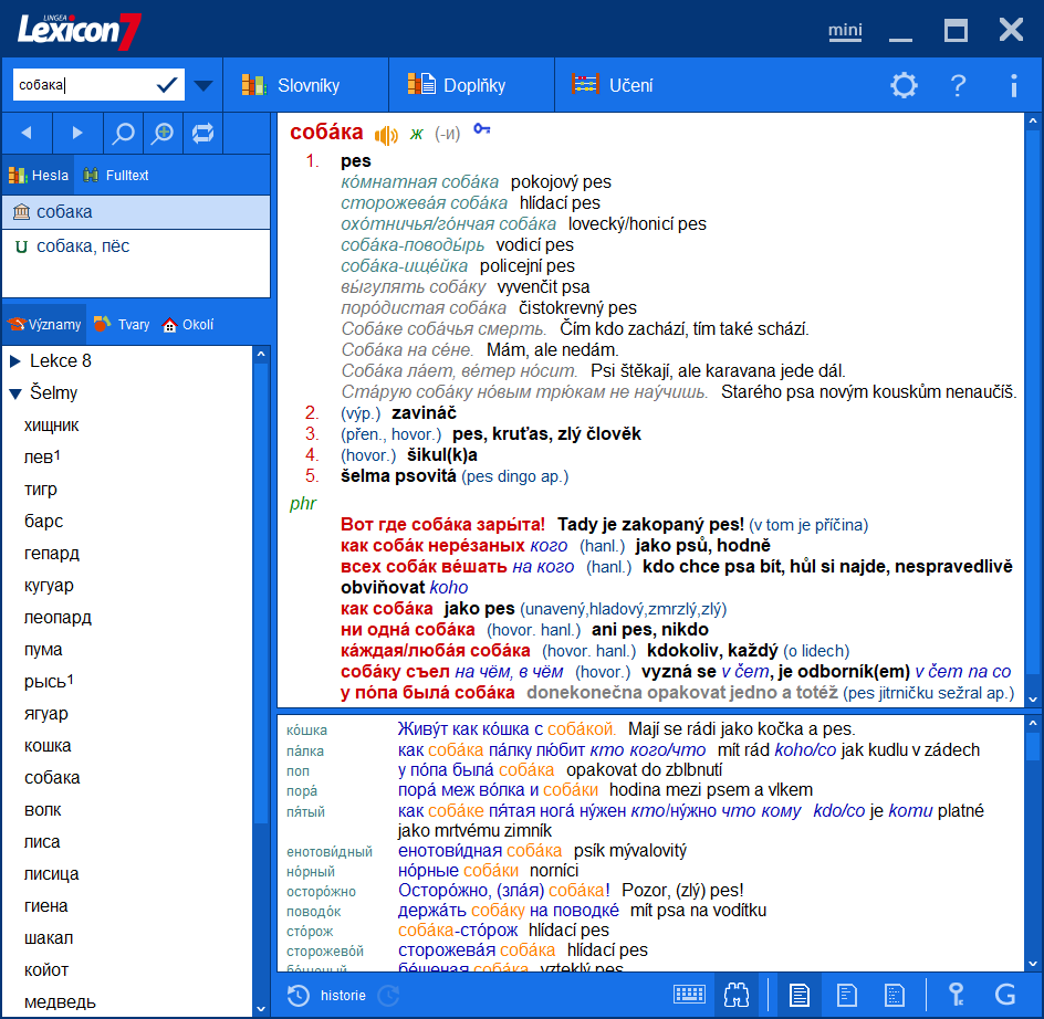 Lexicon 7 Ruský slovník Platinum