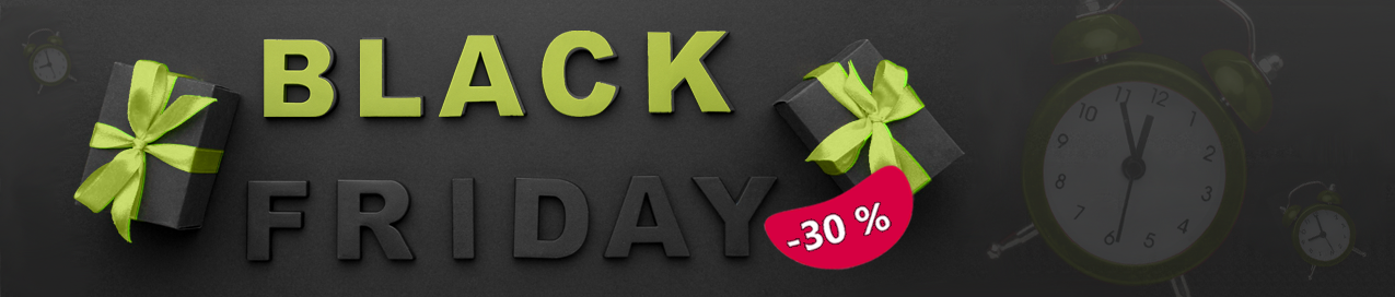 Black Friday 2024 header