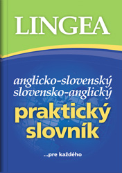 Anglický praktický slovník
