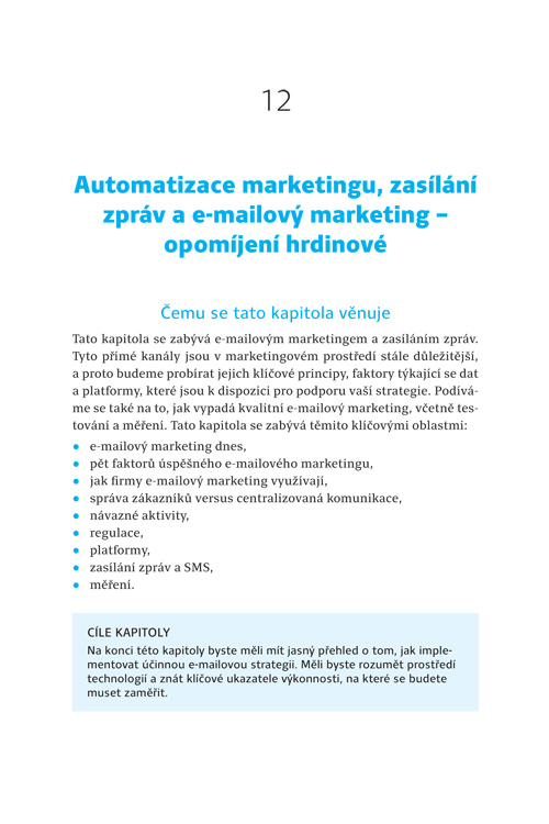 Strategie digitálního marketingu