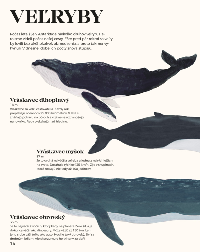 Antarktída