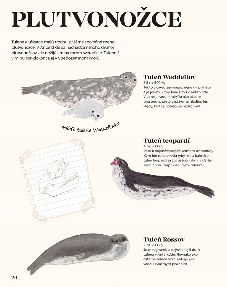 Antarktída